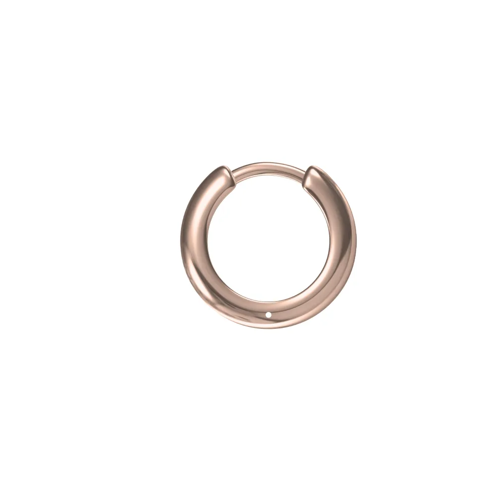 Elegant hoop earrings